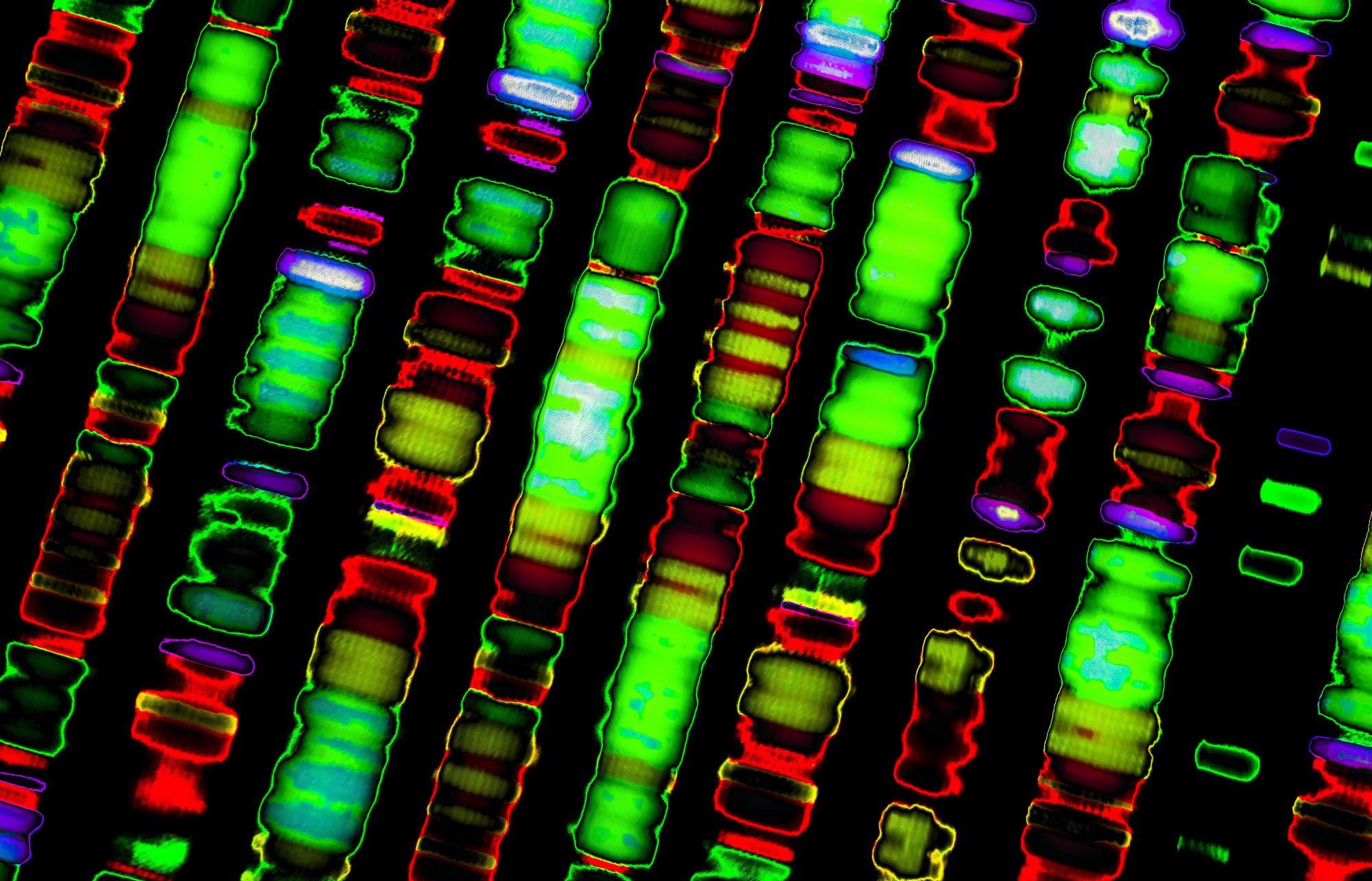 The complete sequence of a human genome. Image Credit: Gio.tto / Shutterstock
