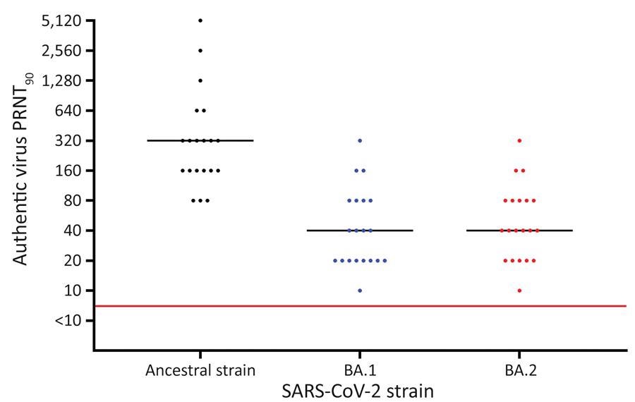 Serum PRNT90 results against SARS-CoV-2 ancestral strain and Omicron BA.1 and BA.2 sublines after BNT162b2 booster vaccination (Pfizer-BioNTech, https://www.pfizer.com), Denmark.  Serum samples were collected from 20 naïve SARS-CoV-2 participants who received 2 doses of BNT162b2 and a booster dose of BNT162b2.  The sequences of the viral genome are available in GenBank (accession numbers ON055855 for the ancestral strain, ON055874 for BA.1 and ON055857 for BA.2).  The red line indicates the neutralization threshold;  black lines indicate median neutralization titers for each strain.  PRNT90, 90% plaque reduction neutralization test.