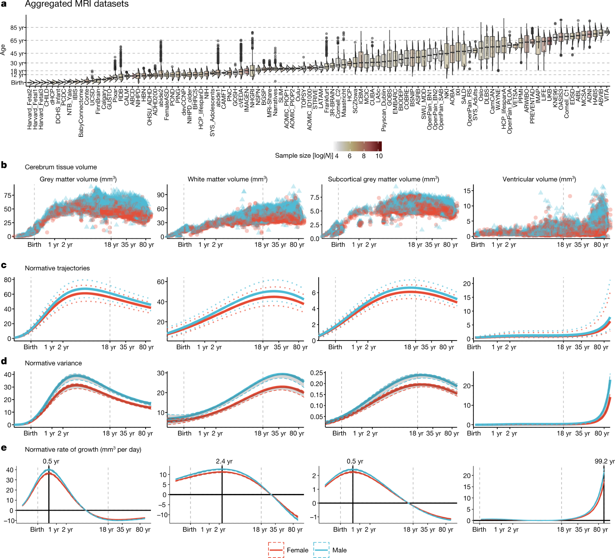 a, MRI data were aggregated from over 100 primary studies comprising 123,984 scans that collectively spanned the age range from mid-gestation to 100 postnatal years. Box–violin plots show the age distribution for each study coloured by its relative sample size (log-scaled using the natural logarithm for visualization purposes). b, Non-centiled, ‘raw’ bilateral cerebrum tissue volumes for grey matter, white matter, subcortical grey matter and ventricles are plotted for each cross-sectional control scan as a function of age (log-scaled); points are colored by sex. c, Normative brain-volume trajectories were estimated using GAMLSS, accounting for site- and study-specific batch effects, and stratified by sex (female, red; male, blue). All four cerebrum tissue volumes demonstrated distinct, non-linear trajectories of their medians (with 2.5% and 97.5% centiles denoted as dotted lines) as a function of age over the lifespan.  d, Trajectories of median between-subject variability and 95% confidence intervals for four cerebrum tissue volumes were estimated by sex-stratified bootstrapping (see Supplementary Information 3 for details). e, Rates of volumetric change across the lifespan for each tissue volume, stratified by sex, were estimated by the first derivatives of the median volumetric trajectories. For solid (parenchymal) tissue volumes, the horizontal line (y = 0) indicates when the volume at which each tissue stops growing and starts shrinking and the solid vertical line indicates the age of maximum growth of each tissue. . Note that y axes in b–e are scaled in units of 10,000 mm3 (10 ml).