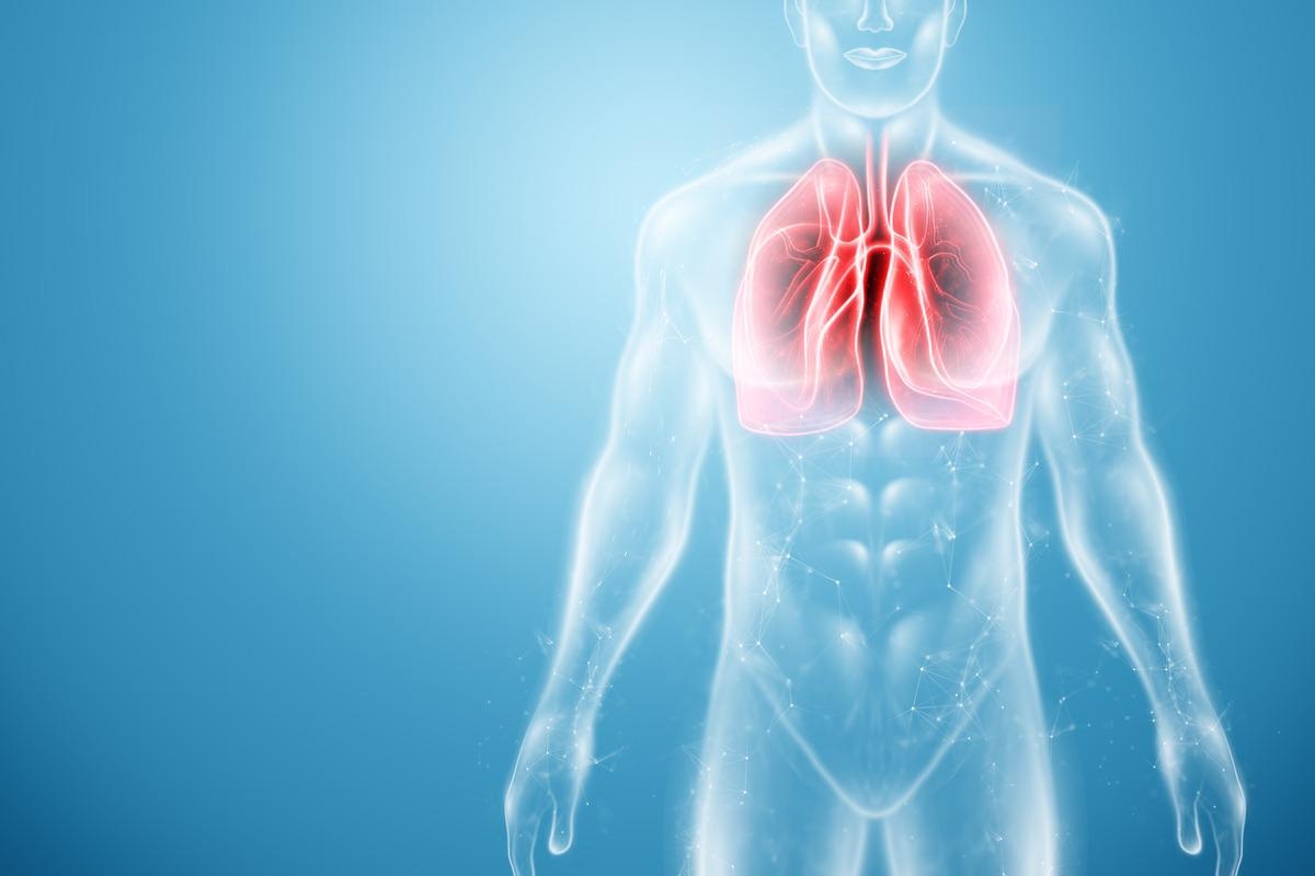Study: Longitudinal lung function assessment of patients hospitalised with COVID-19 using 1H and 129Xe lung MRI. Image Credit: Marko Aliaksandr/Shutterstock