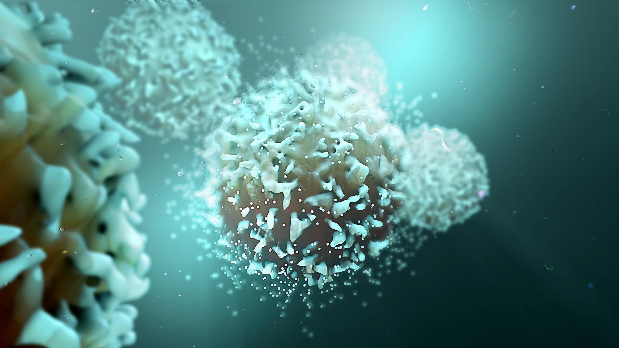 Study: SARS-CoV-2 mutations affect proteasome processing to alter CD8+ T cell responses. Image Credit: Design_Cells / Shutterstock