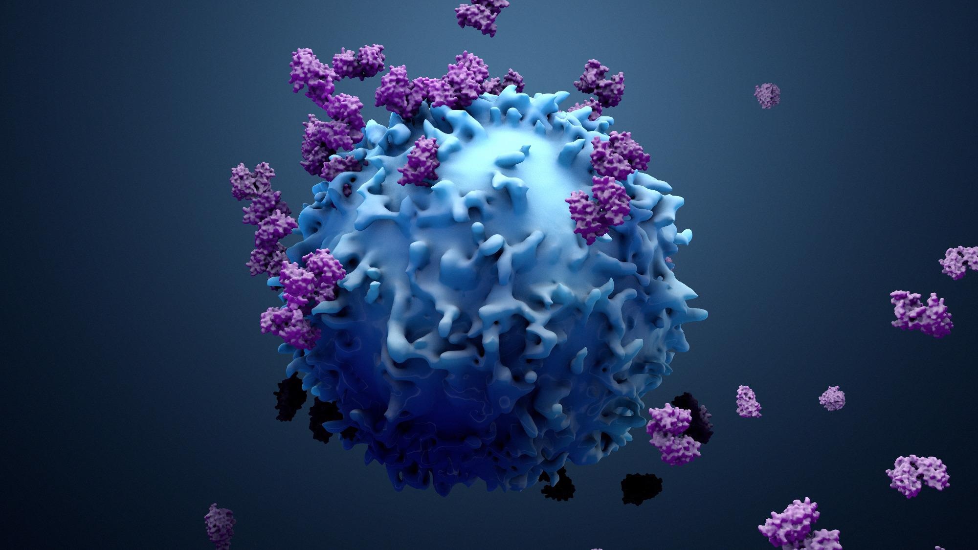 Study: mRNA vaccine induces cytotoxic CD8+ T-cell cross-reactivity against SARS-CoV-2 Omicron variant and regulates COVID-19 severity. Image Credit: Design_Cells/ Shutterstock