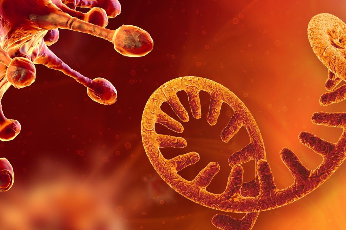 Study: The Roles of APOBEC-mediated RNA Editing in SARS-CoV-2 Mutations, Replication and Fitness. Image Credit: CROCOTHERY/Shutterstock