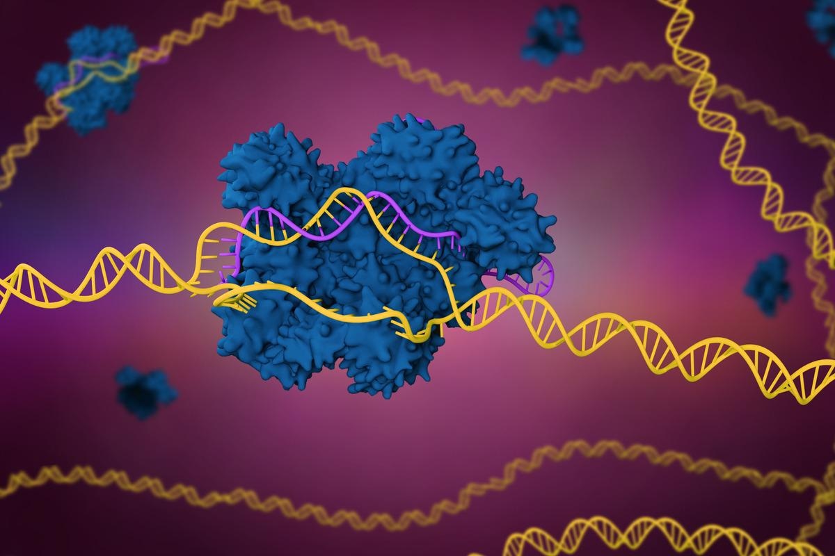 Study: Nano-vectors for CRISPR/Cas9-mediated genome editing. Image Credit: Meletios Verras/Shutterstock