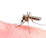 Researchers investigate Zika virus and Dengue virus co-immunity