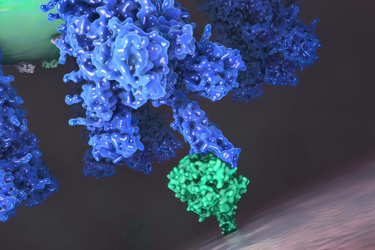 Study: An antibody class with a common CDRH3 motif broadly neutralizes sarbecoviruses. Image Credit: picmedical / Shutterstock.com