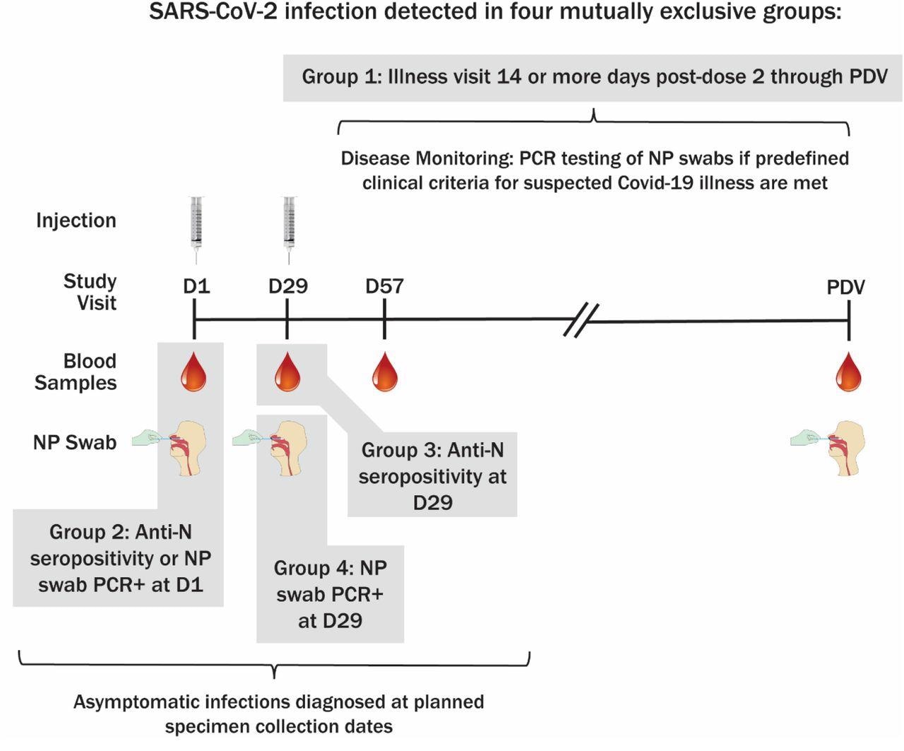 Method of SARS-CoV-2 infection determination and sampling schedule. PDV, participant decision visit.