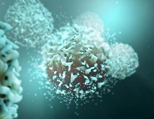 Scientists show how T cells may help protect against severe COVID