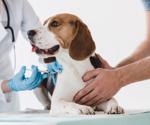Canine COVID-19 vaccine could prevent reverse transmission of SARS-CoV-2