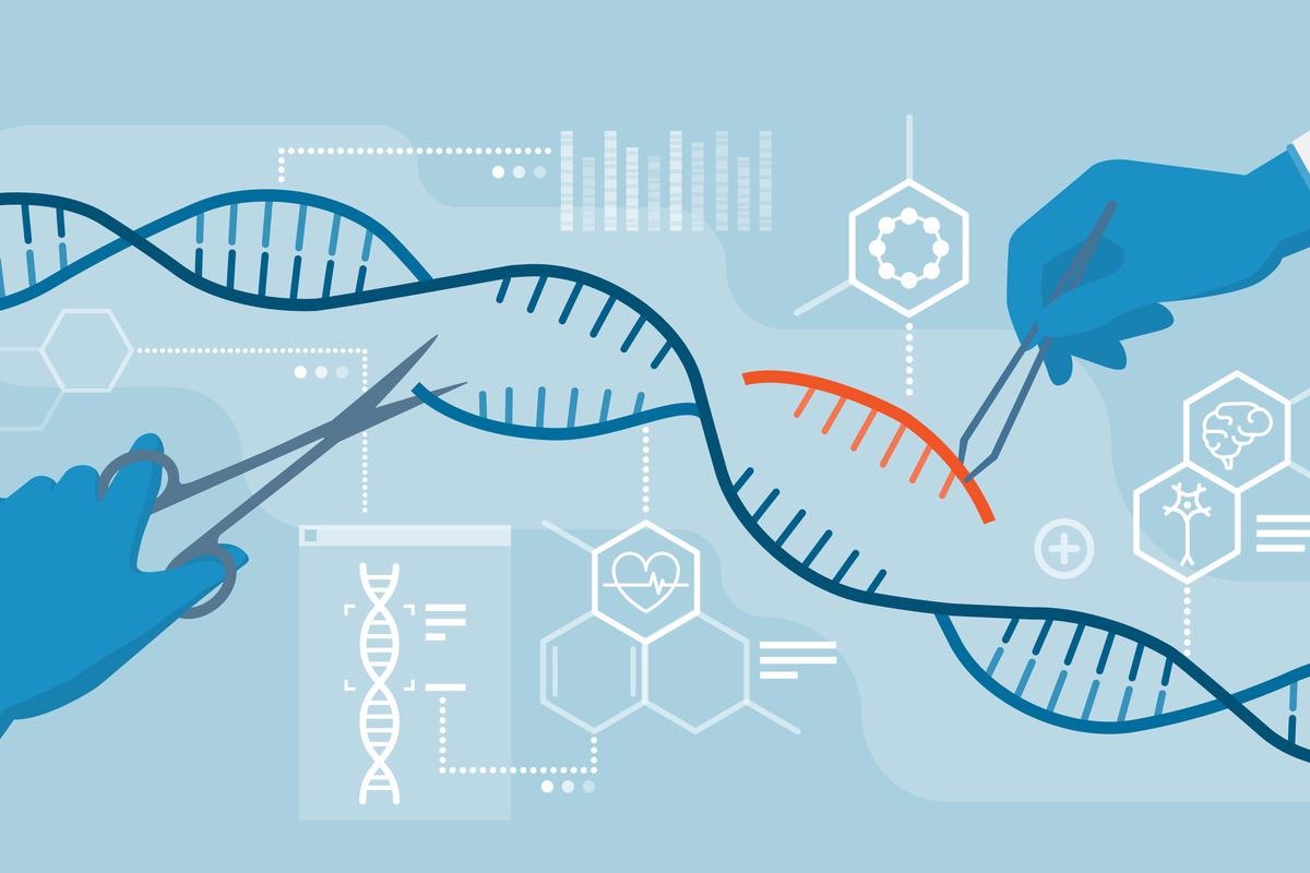 Study: CRISPR/Cas9 deletions induce adverse on-target genomic effects leading to functional DNA in human cells. Image Credit: elenabsl/Shutterstock