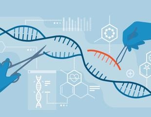 CRISPR/Cas9 deletions induce adverse on-target genomic effects