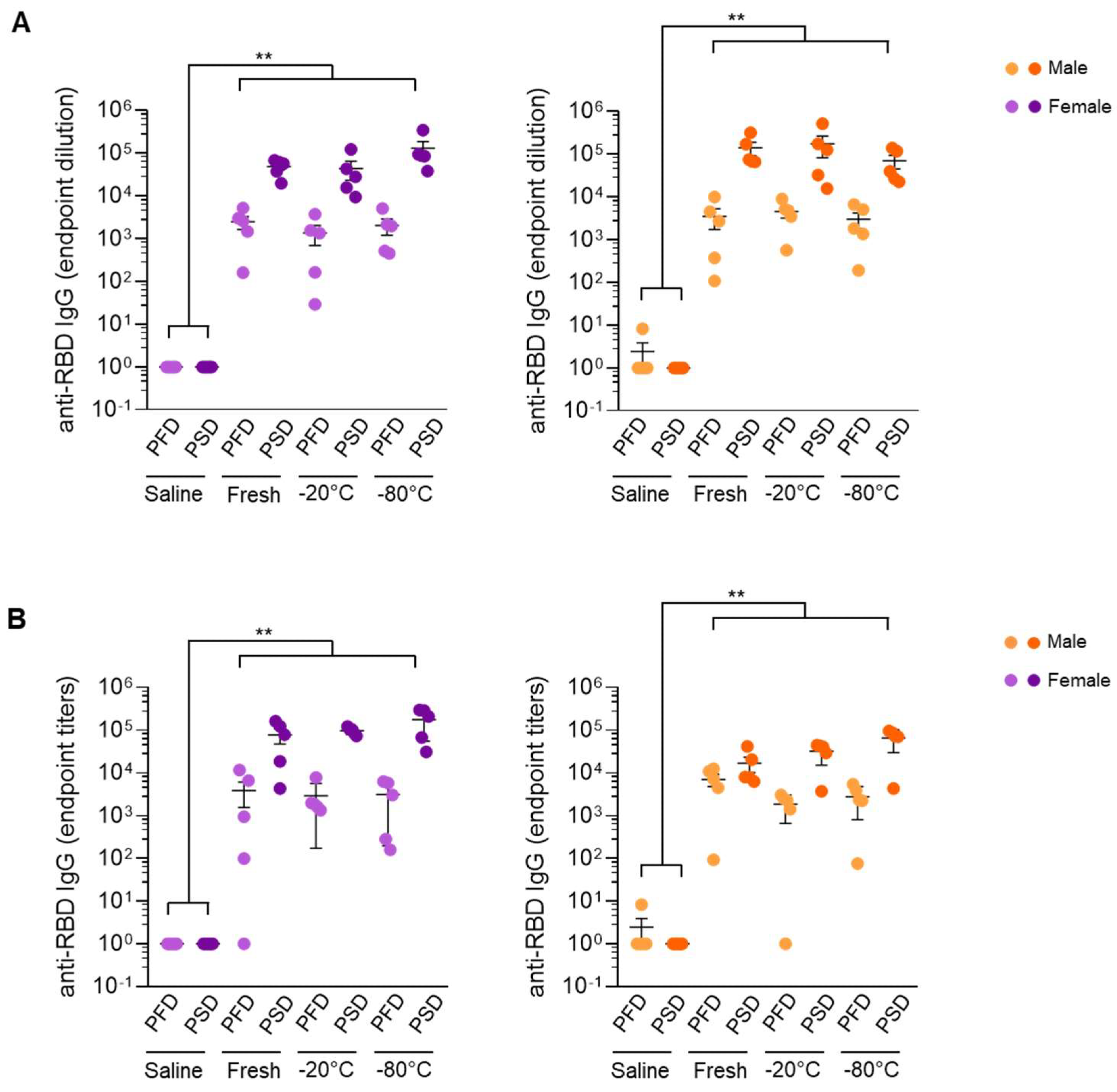 mRNA vaccines under different handling and re-freezing conditions induced similar responses in male and female mice. SARS-CoV-2 Spike RBD-specific IgG end-point titers of mice immunized with Comirnaty® (Pfizer-BioNTech) vaccine (A) or Spikevax® Moderna vaccine (B) post-prime and post-boost immunization. Sera from control mice inoculated with PBS were used to establish negative threshold values defined as the mean plus 4 times the standard deviation of the mean. Bars represent mean ± standard error mean (SEM). Dashed line indicates negative threshold. Data are presented as individual dots. Two-tailed Mann–Whitney U test was performed to compare vaccine treatment groups (saline, fresh, −20 °C, and −80 °C) (** p < 0.01). For each time point and condition, n = 5.