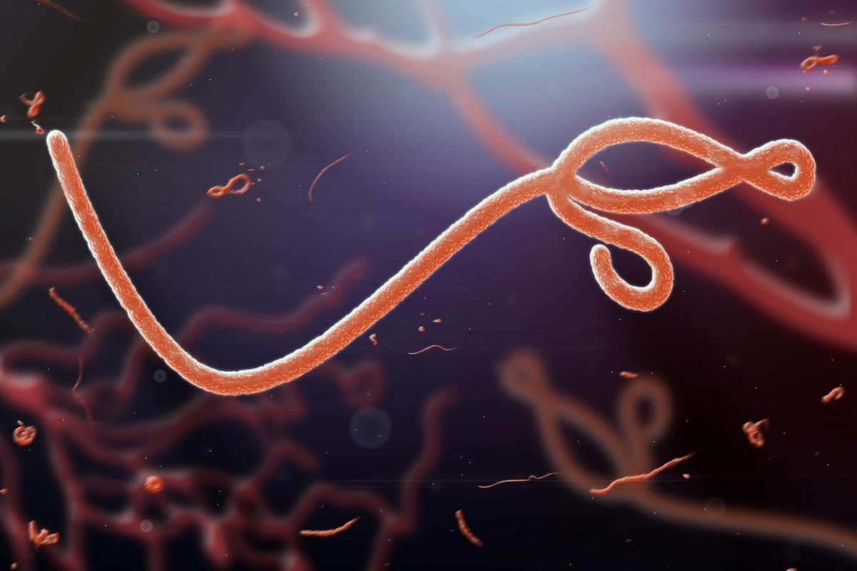 Study: Isoform-specific O-glycosylation dictates Ebola virus infectivity. Image Credit: jaddingt/Shutterstock
