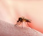 How do mosquito bites affect immunity?