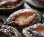 Study shows polysaccharides of seaweed and abalone inhibit SARS-CoV-2 in vitro