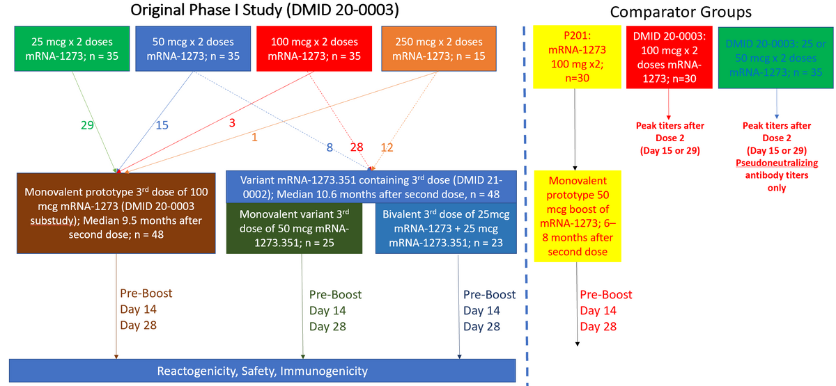 Enrollment and Timing of Samples Obtained for Participants and Comparators in this Study. The original Phase I mRNA-1273 study enrolled subjects ≥18 years of age and administered two doses of mRNA-1273 across 4 different dose levels (25, 50, 100, and 250 mcg). Those that had received any dose level were allowed to receive a single 100 mcg third dose (monovalent prototype vaccine group). Those that had received 50, 100, or 250 mcg doses were allowed to join a new study in which they were randomized to a single 50 mcg dose of monovalent variant vaccine (mRNA-1273.351) or a single dose of bivalent vaccine (25 mcg of mRNA-1273, 25 mcg mRNA-1273.351). For comparison, 30 adults that had received an initial 100 mcg of mRNA-1273 in the Phase 2 study followed by a 50 mcg third dose were included (P201). Peak responses observed at 2 or 4 weeks after a second dose of mRNA-1273 in those that had enrolled in the original Phase I study were used for comparison.