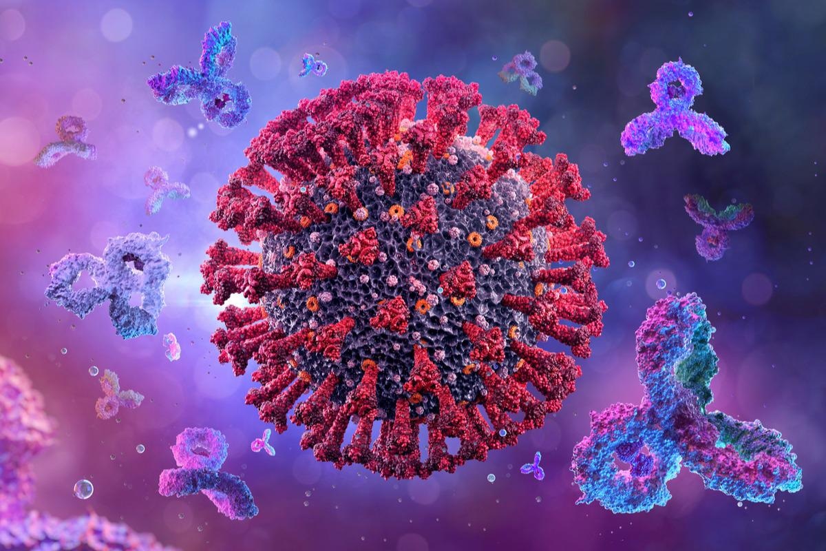 Study: Antibody and T Cell Immune Responses to SARS-CoV-2 Peptides in COVID-19 Convalescent Patients. Image Credit: Corona Borealis Studio/Shutterstock