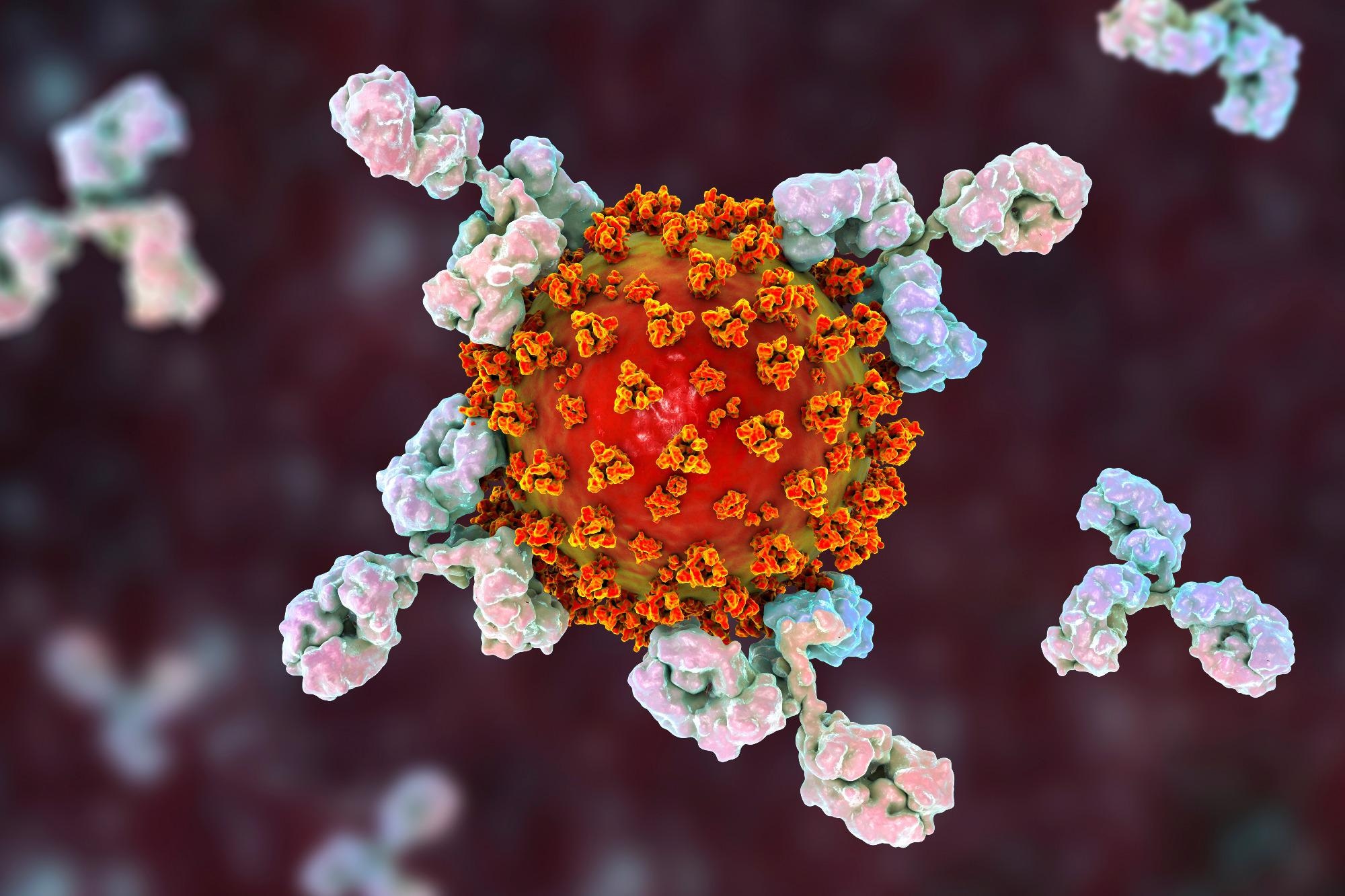 Study: ACE2 nanoparticles prevent cell entry of SARS-CoV-2. Image Credit: Kateryna Kon / Shutterstock