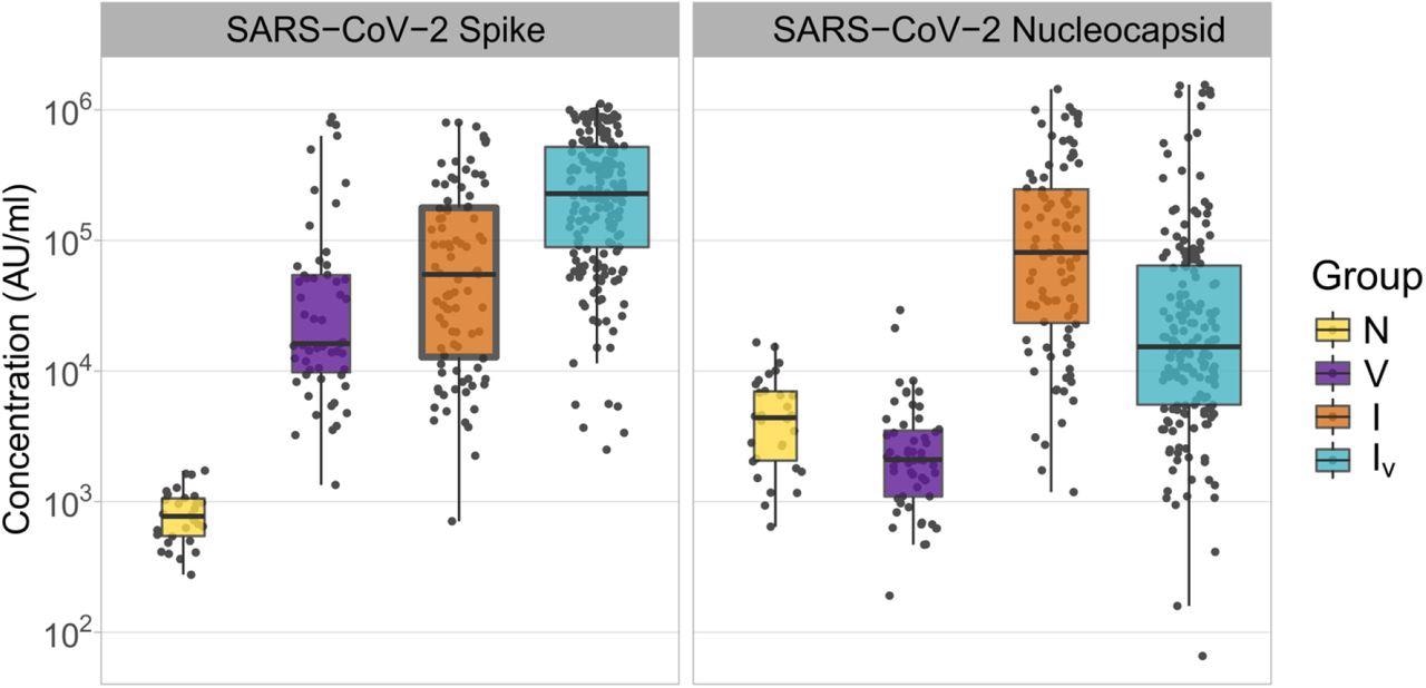 Stężenia przeciwciał anty-SARS-CoV-2 Spike i Nucleocapsid w próbkach od pacjentów z inną historią ekspozycji na SARS-CoV-2.  Na górze każdego panelu pojawia się nazwa antygenów.  Grupy pacjentów definiuje się jako N: naiwni (żółty);  V: pyłek (fioletowy);  Ja: kontuzjowany (pomarańczowy);  Po czwarte: zakażony i zaszczepiony (niebiański).  Stężenia przeciwciał przedstawiono w dowolnych jednostkach MSD/ml.  Wykresy pudełkowe wyświetlają zakres międzykwartylowy i wartości średnie.