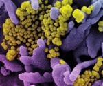 Study investigates antibody-mediated response against different SARS-CoV-2 variants