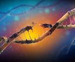 Research describes how DNA damage can affect neural health and function