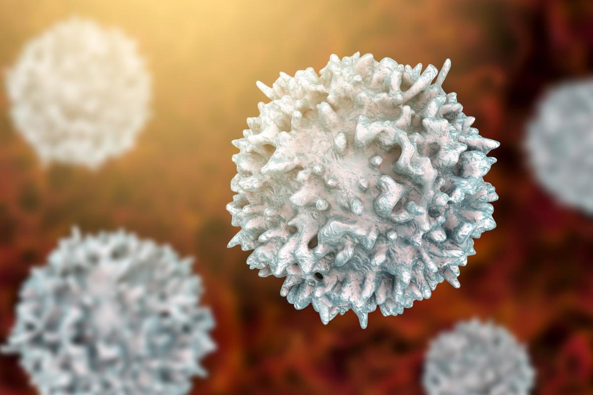 Study: Antibodies induced by ancestral SARS-CoV-2 strain that cross-neutralize variants from Alpha to Omicron BA.1. Image Credit: Kateryna Kon/Shutterstock