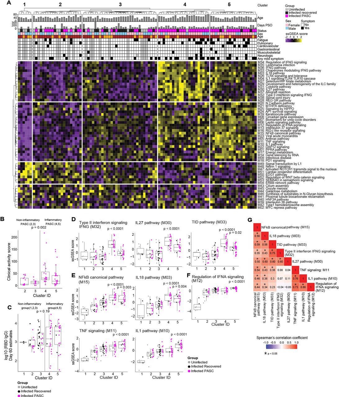 Serum proteomic clustering of PASC. (A) Heatmap of the rule-in method based unsupervised clustering of Olink serum proteome data across all patients in the cohort (PASC + recovered + uninfected). Rows represent modules, columns represent samples and the scaled ssGSEA module score across samples is depicted from low (purple) to high (yellow). The method identifies 2 clusters of subjects with higher inflammatory module signatures (4 & 5) relative to the other three clusters of subjects (1, 2, 3) that lack inflammatory signatures.