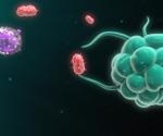An atlas of human immune cells across tissues
