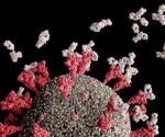 Factors impacting anti-SARS-CoV-2 antibodies in healthcare personnel