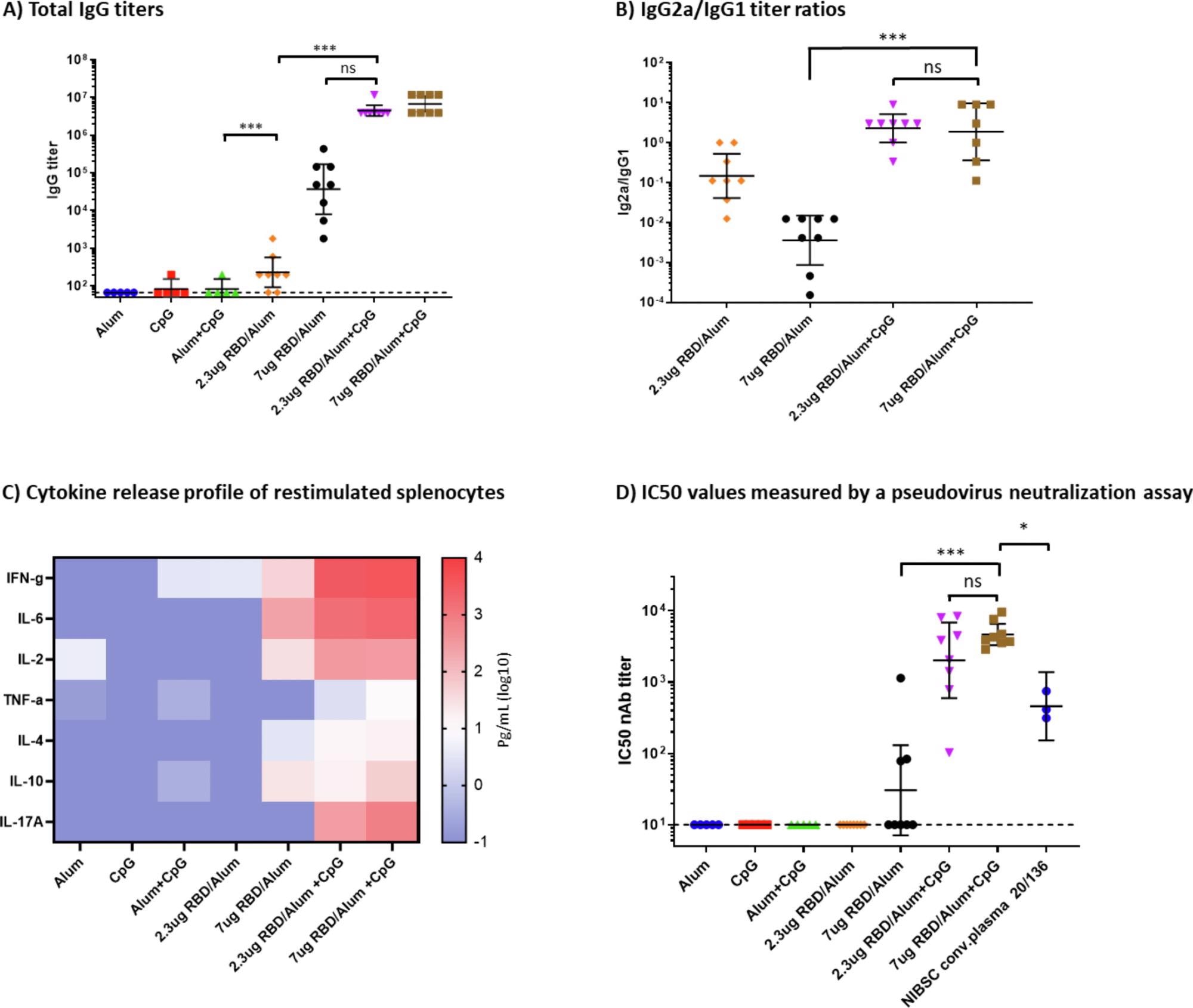 Respuesta inmune humoral y celular en ratones inmunizados.  a) Títulos de IgG total al día 35, medidos por ELISA.  b) proporciones de títulos de IgG2a/IgG1.  Se muestran la media geométrica y los intervalos de confianza del 95%.  c) Mapa de calor de los niveles de citoquinas secretadas medidos en sobrenadantes de esplenocitos reestimulados con proteína SARS-CoV-2 RBD.  Se calcularon y graficaron los valores medios dentro de cada grupo de tratamiento para cada citocina.  D) Los valores de IC se midieron mediante un ensayo de neutralización utilizando el pseudovirus SARS-CoV-2 Wuhan.  Se realizaron pruebas de Mann-Whitney para evaluar la significación estadística entre los diferentes grupos.  p > 0,12 (ns), p <0.033