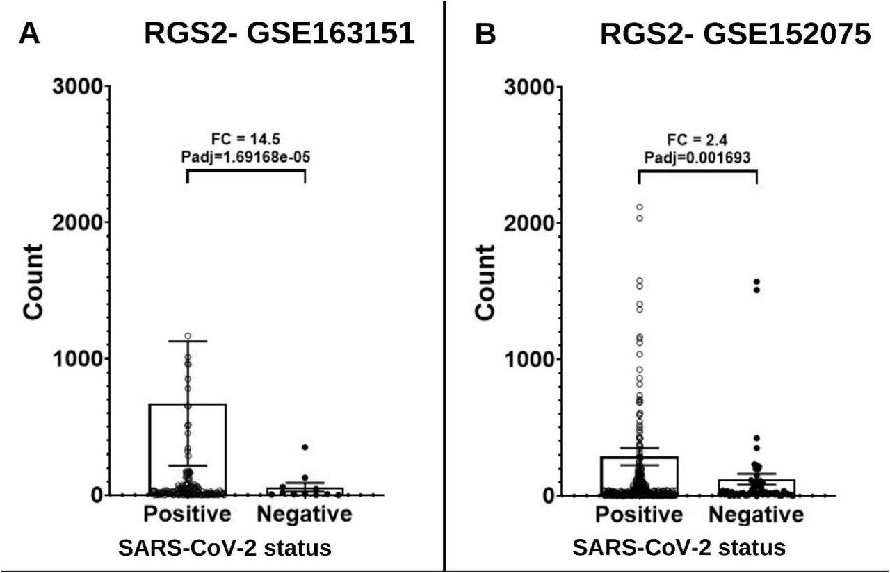 Expression levels of RGS2 mRNA from RNA-sequencing of nasopharyngeal swabs of SARS-CoV-2 positive patients and negative controls. (A) Dataset GSE163151: higher expression of RGS2 (FC= 14.5,