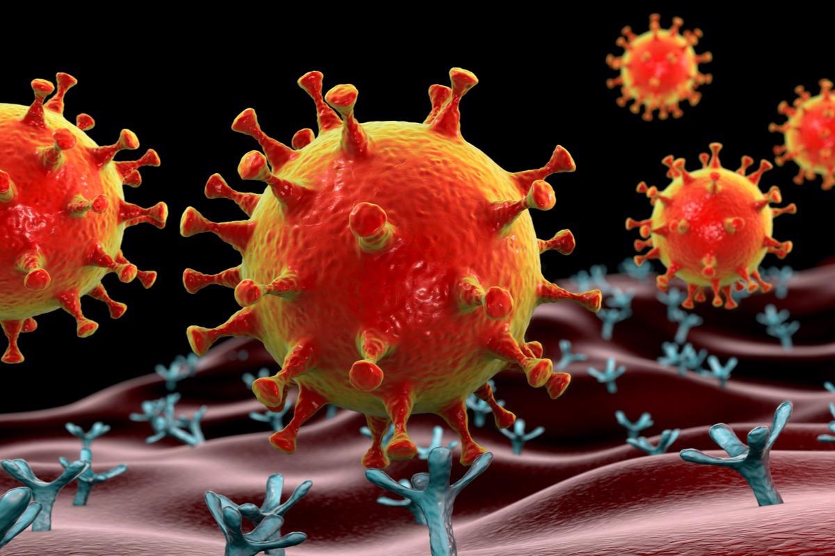 Study: ACE2-enriched extracellular vesicles enhance infectivity of live SARS-CoV-2 virus. Image Credit: Kateryna Kon/Shutterstock