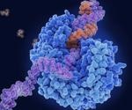 Repurposed drug clofoctol blocks SARS-CoV-2 replication in mouse study