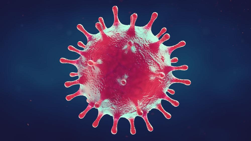 Study: Omicron Infection Evokes Cross-Protection against SARS-CoV-2 Variants in Vaccinees. Image Credit: ffikretrow / Shutterstock.com