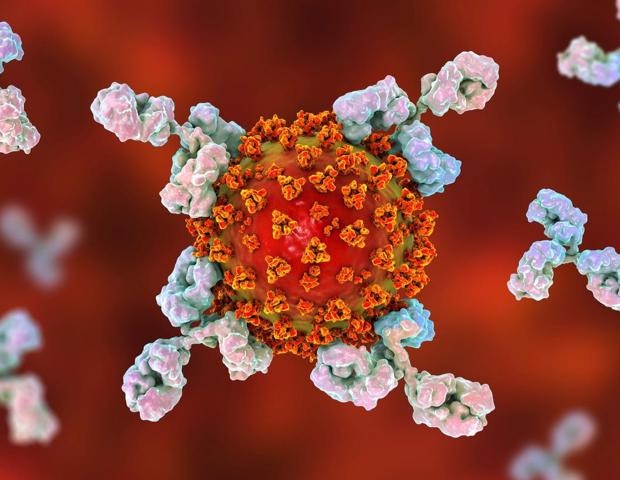 Study investigates associations between antibody response to COVID-19 vaccination and the risk of subsequent infection