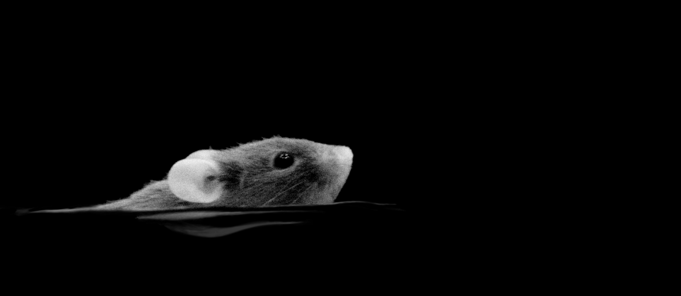 Specific neural circuit in mice can help detect the dimmest shadows possible