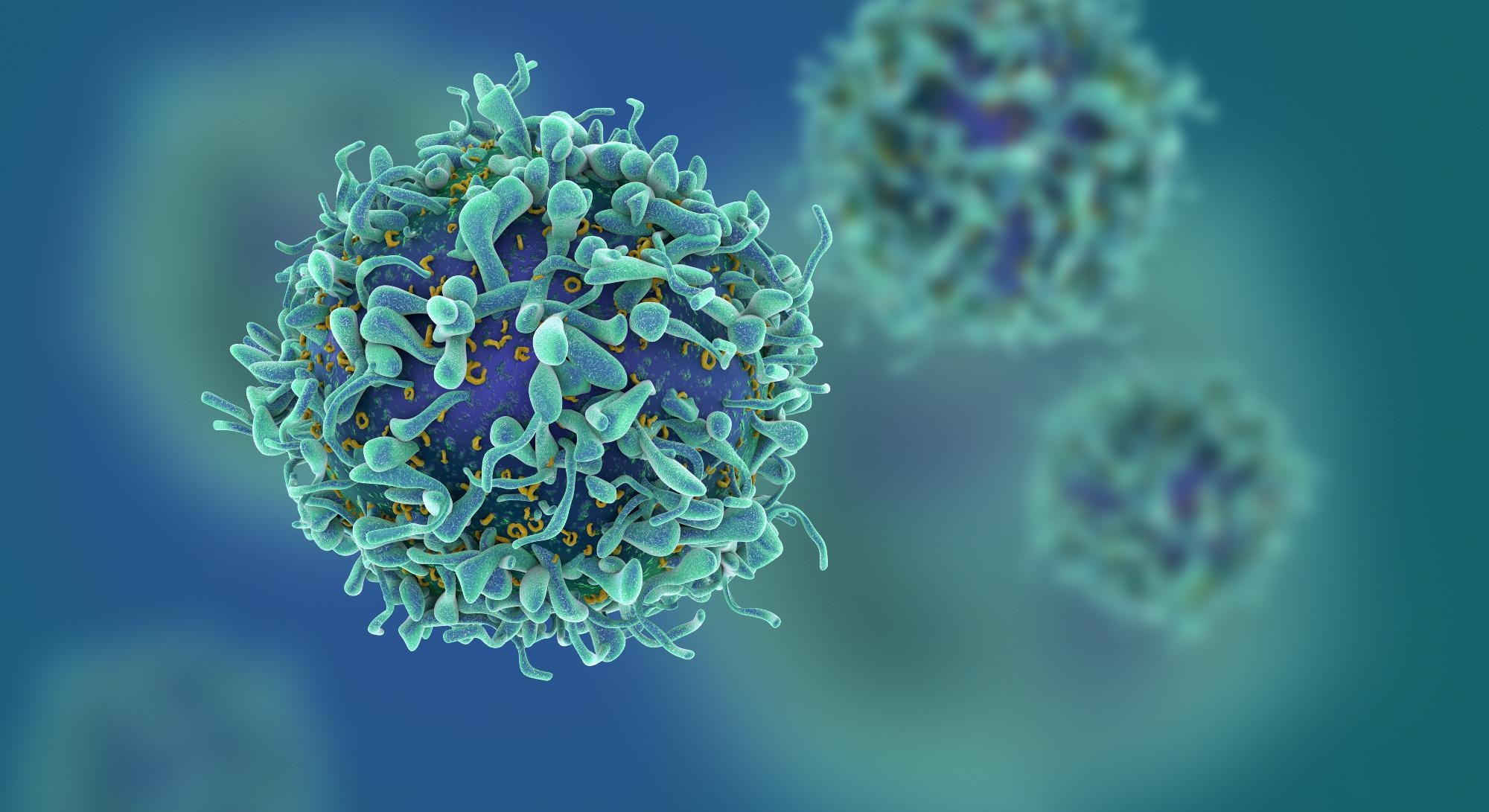 Study: Predictions of immunogenicity reveal potent SARS-CoV-2 CD8+ T-cell epitopes. Image Credit: fusebulb / Shutterstock