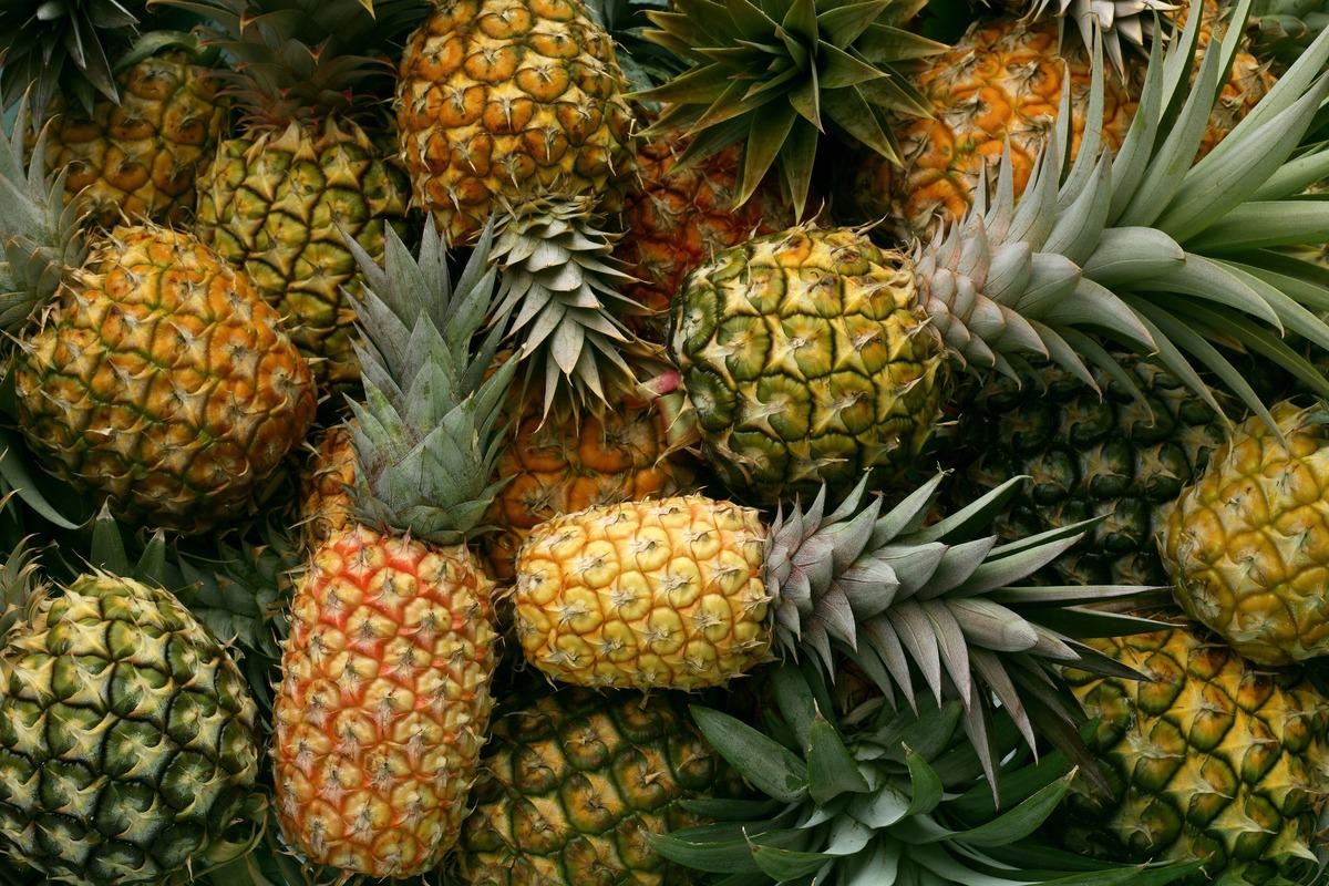 Study: The Glycan-Specificity of the Pineapple Lectin AcmJRL and its Carbohydrate-Dependent Binding of the SARS-CoV-2 Spike Protein. Image Credit: Shulevskyy Volodymyr/Shutterstock