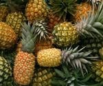 The pineapple-derived jacalin-related lectin as a potential anti-SARS-CoV-2 agent