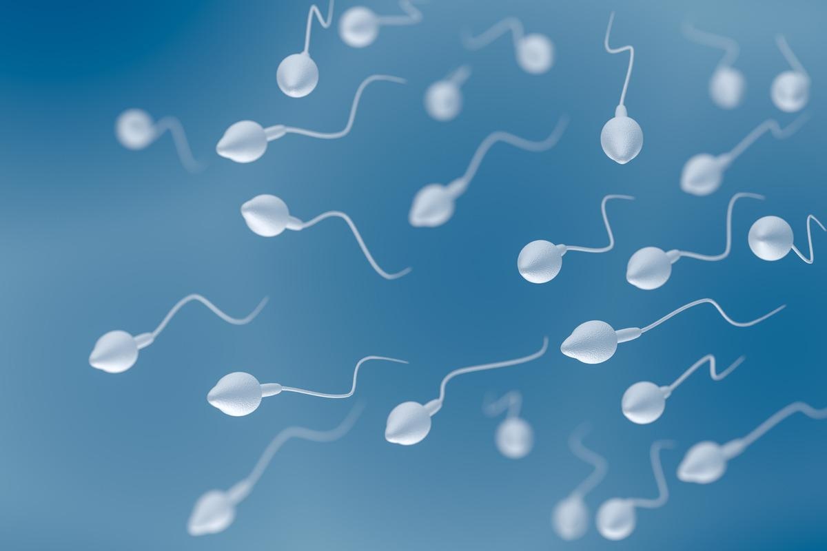 Study: 4BNT162b2 mRNA Covid-19 Vaccine and semen: what do we know? Image Credit: vchal/Shutterstock
