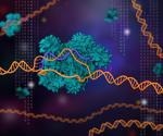 CRISPR-based diagnostics for SARS-CoV-2 detection
