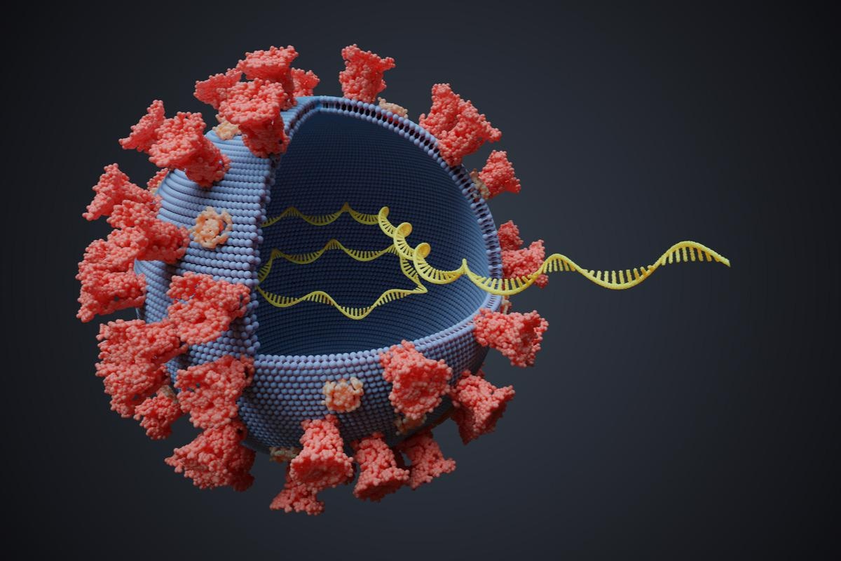 Estudio: ¿Por qué el ARN viral a veces persiste después de la recuperación de infecciones agudas?.  Crédito de la imagen: vchal/Shutterstock