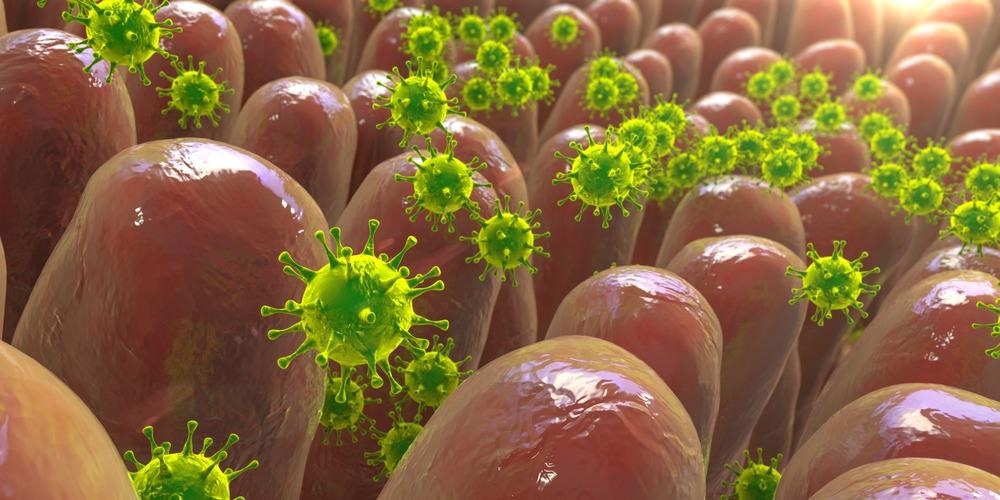 Study: Gastrointestinal Involvement in SARS-CoV-2 Infection. Image Credit: Kateryna Kon / Shutterstock.com