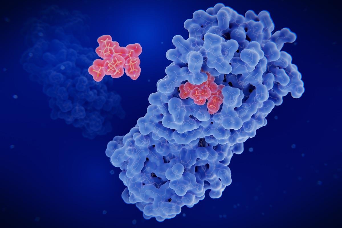 Study: Nirmatrelvir Resistant SARS-CoV-2 Variants with High Fitness in Vitro. Image Credit: Juan Gaertner/Shutterstock