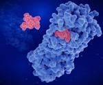 Study investigates SARS-CoV-2 escape from nirmatrelvir