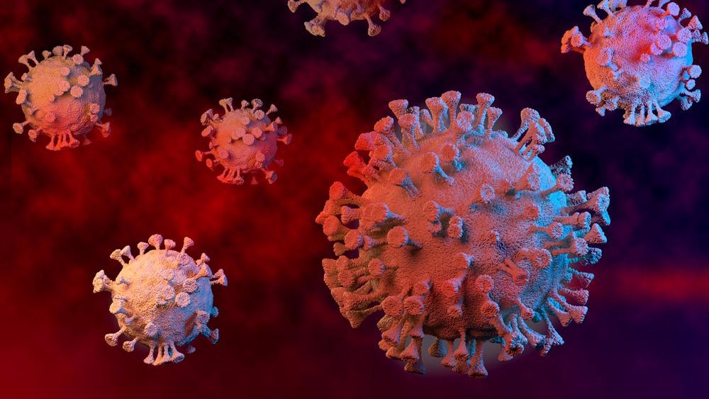 Study: The magnitude and timing of recalled immunity after breakthrough infection is shaped by SARS-CoV-2 variants. Image Credit: Sergey Cherviakov / Shutterstock.com