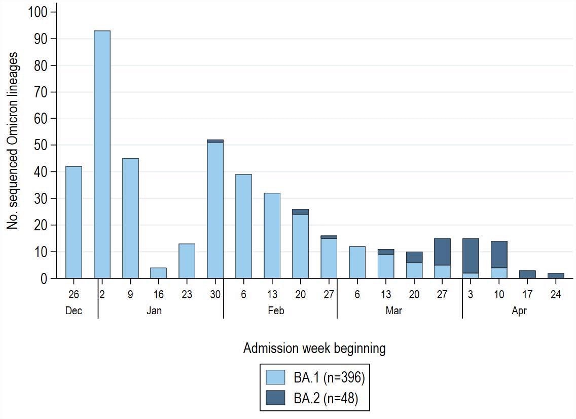 SARS-CoV-2 Omicron lineage by admission week among 1,572 COVID-19 case-patients enrolled during December 26, 2021–April 30, 2022 (with a pause in enrollment January 25–31, 2022). Sequenced Omicron variants were grouped into BA.1 (B.1.1.529, BA.1, BA.1.1, BA.1.15, BA.1.17) and BA.2 (BA.2, BA.2.1, BA.2.3) lineages. Non-Omicron case-patients (Delta variant, B.1.1.519) confirmed through sequencing were excluded from the analysis (n=64) and not displayed in this figure. Of 444 patients with a sequence-confirmed Omicron variant infection, 396 (89%) had BA.1 and 48 (11%) had BA.2. Low sequencing totals in late January reflect a pause in IVY network enrollment during January 25–31, 2022 during a protocol update.