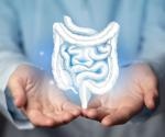 Fecal microbiota transplant shows durable effect in treating irritable bowel syndrome
