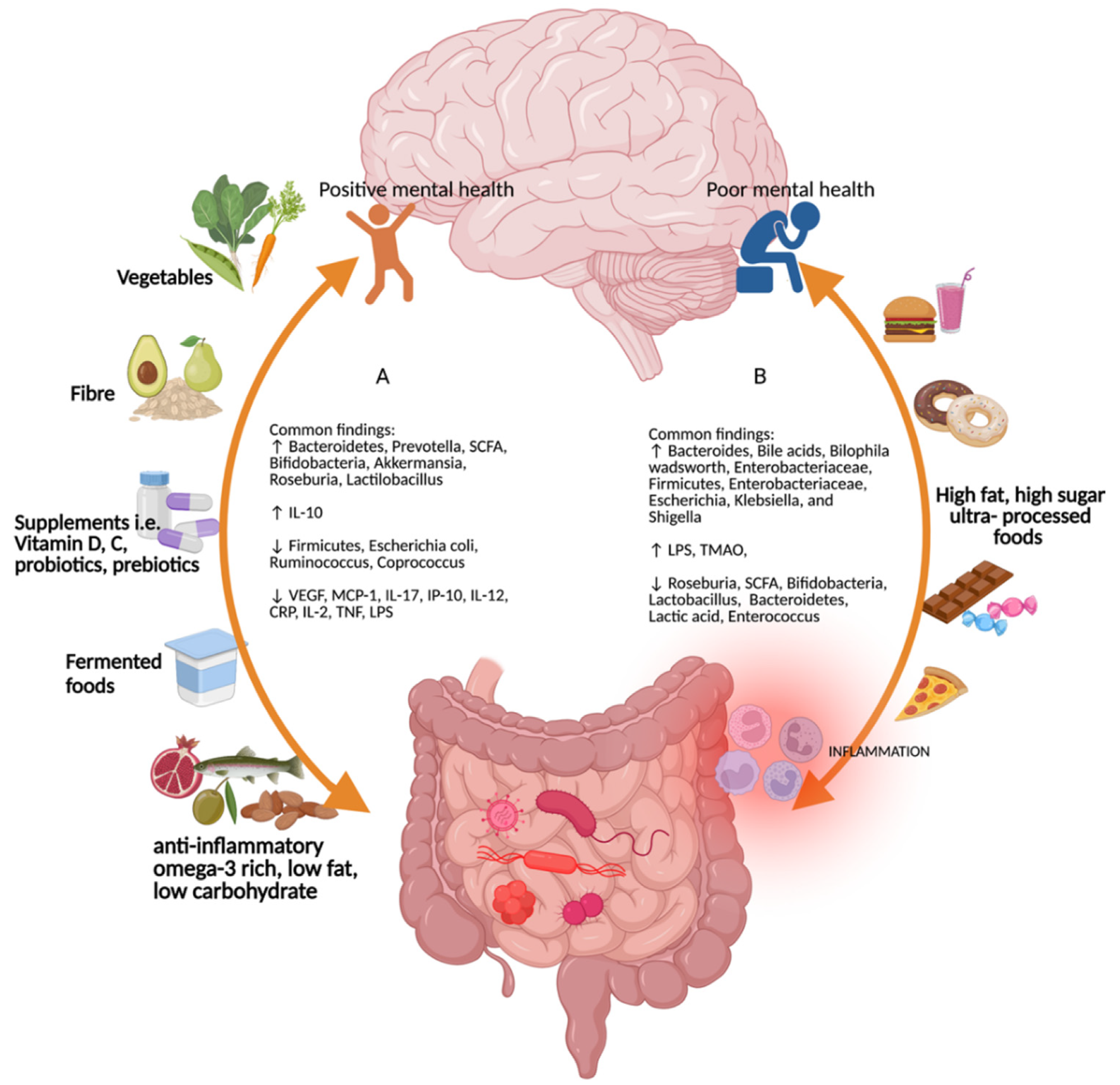 Overall results for different diet types on the gut-brain-microbiome axis.  (A) A diet rich in vegetables, fiber, micronutrients such as vitamins D and C, probiotics and prebiotics, fermented foods, anti-inflammatory foods rich in omega-3s, low fat and low carbohydrates promotes positive mental health and an increase in Bacteroidetes, Prevotella, short chain fatty acids, Bifodobacteria, Akkermansia, Roseburia, Lactilobacillus and interleukin (IL)-10, decrease in Firmicutes, Escherichia coli, Ruminococcus, Coprococcus, vascular endothelial growth factor, monocyte chemoattractant protein-1, interferon gamma-induced protein 10, IL-17 , IL-12, c-reactive protein, IL-2, tumor necrosis factor and lipopolysaccharide.  (B) Foods high in fat, sugar, and ultra-processed foods increase Bacteroides, bile acids, Bilophila wadsworth, Enterobacteriaceae, Firmicutes, Enterobacteriaceae, Escherichia, Klebsiella, and Shigella.  Drawing created with Biorender (as of April 29, 2022).