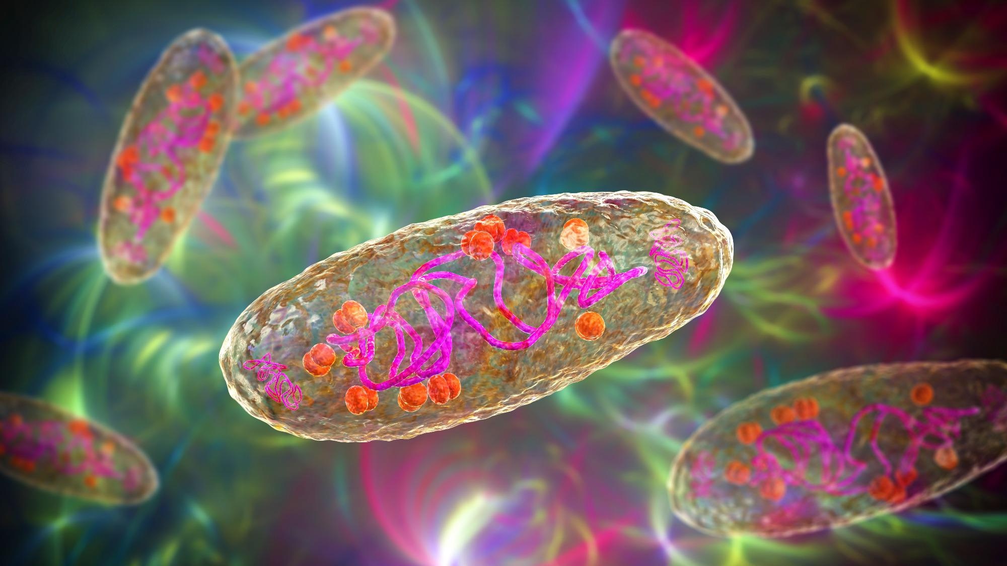 Plague bacterium Yersinia pestis, scientifically accurate 3D illustration showing a structure of the cell with DNA, plasmids and ribosomes. Image Credit: Kateryna Kon / Shutterstock